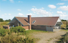 Pet Friendly Home In Ringkøbing With Wifi
